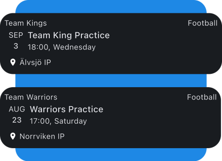 Practice-Search-Website