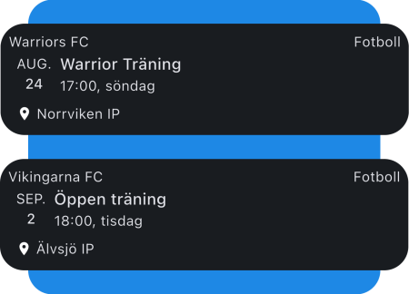 Practice-Search-Website-sv